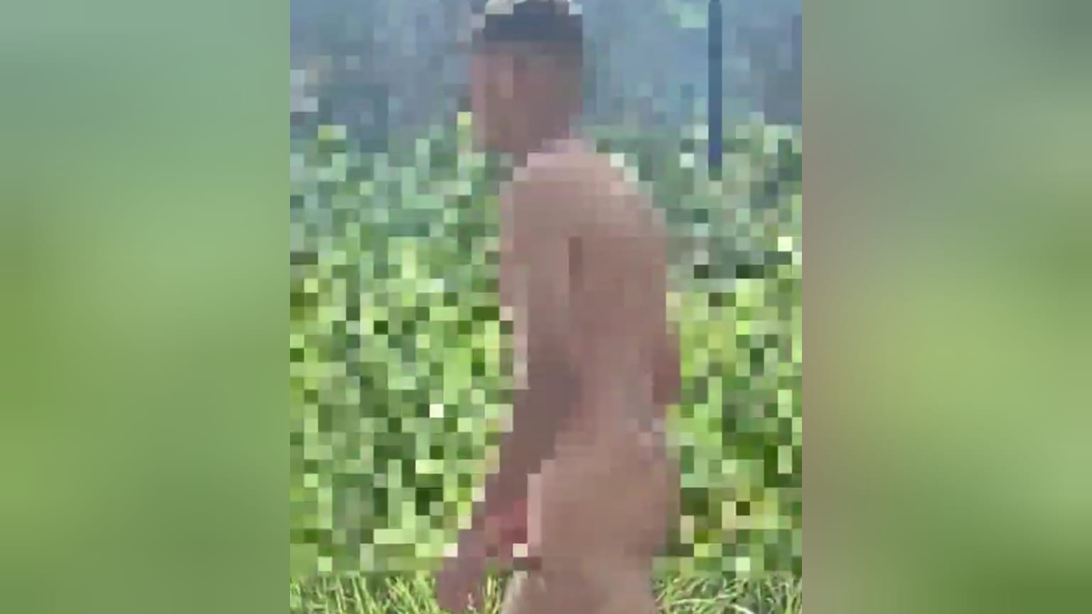 Jornal Minas Homem é flagrado andando pelado na rodovia MG 030 em