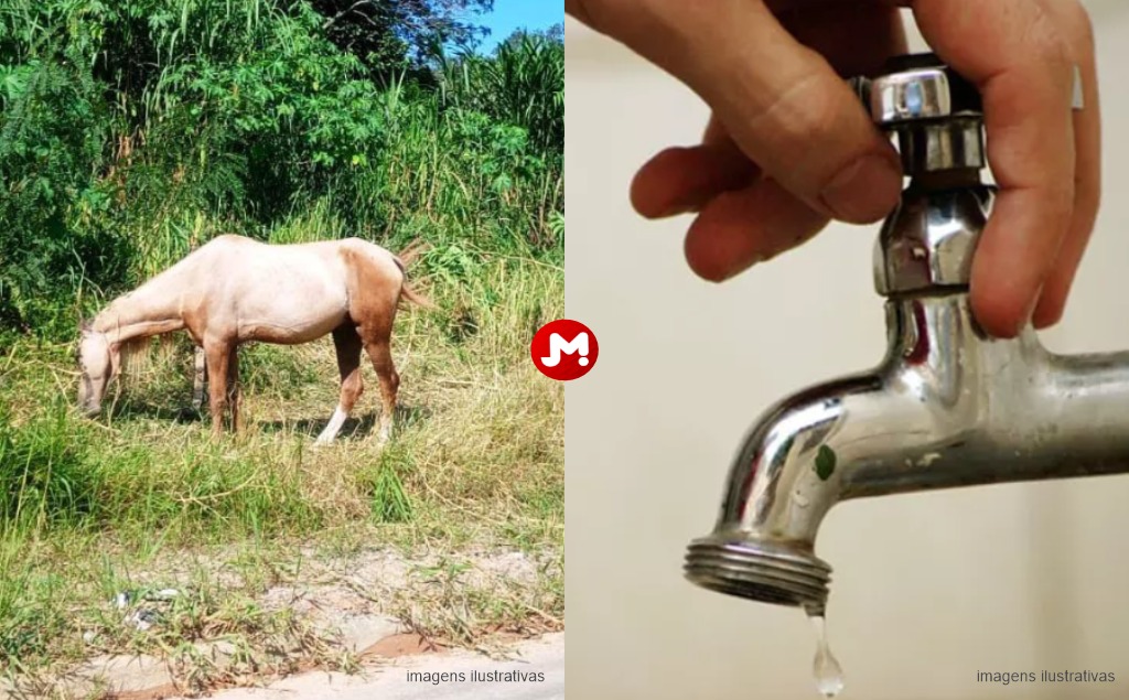 Nova Lima pode sofrer falta de água após queda de animal em adutora da Copasa